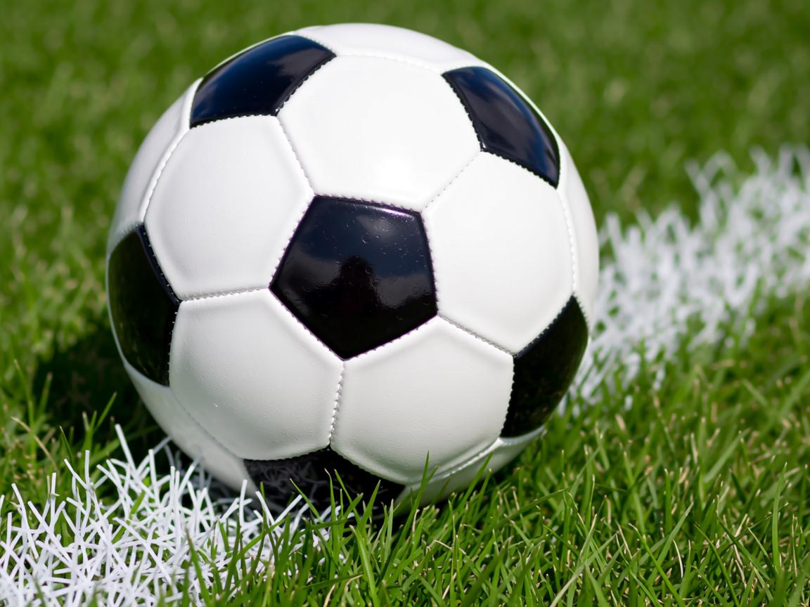 开云体育在线-“2025世界游泳锦标赛:谁能成为泳坛的下一个传奇?” 第3张