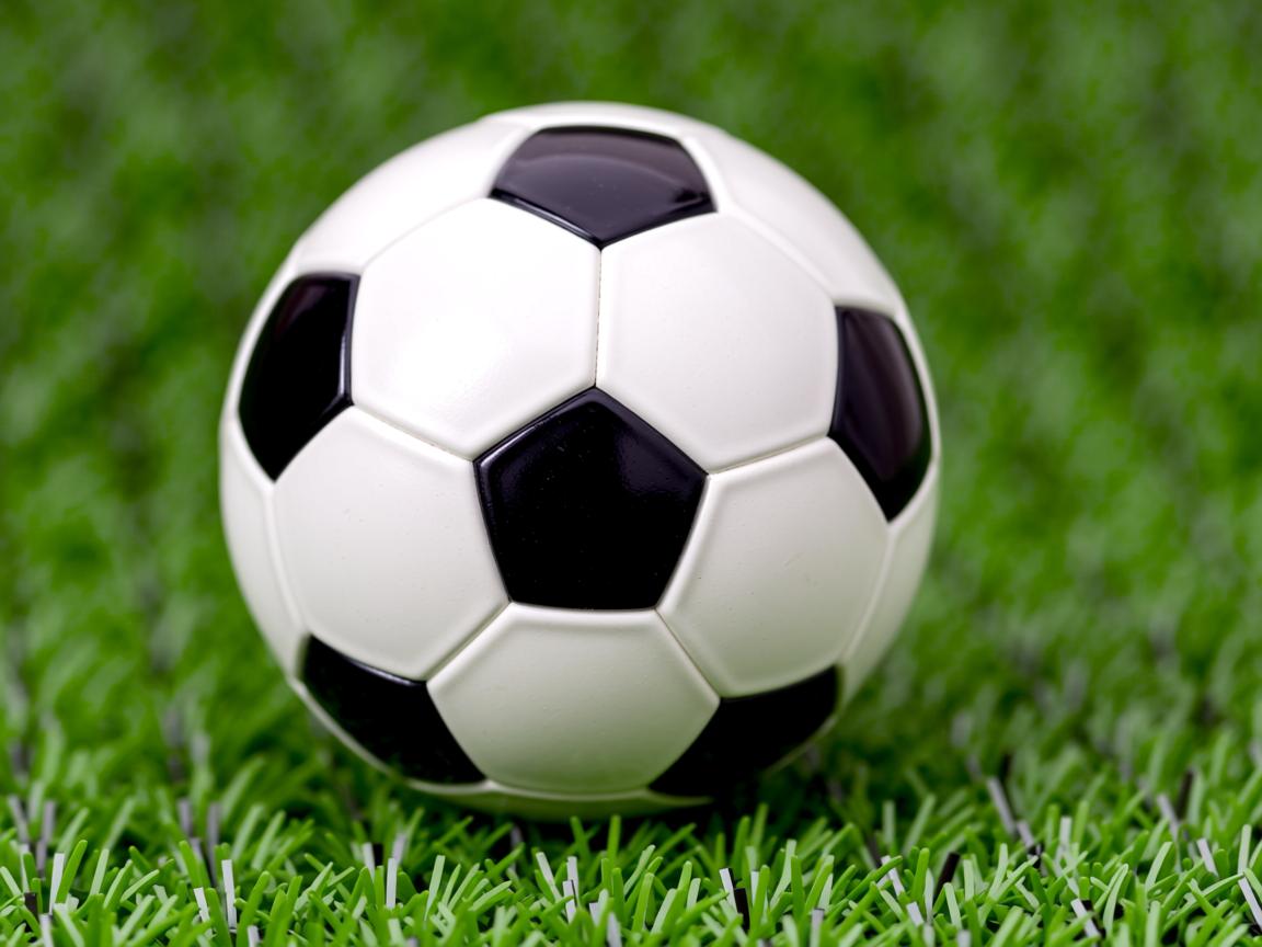 开云体育官网在线-体育文化研究论文集出版引发业内讨论，体育文化导刊2021  第2张