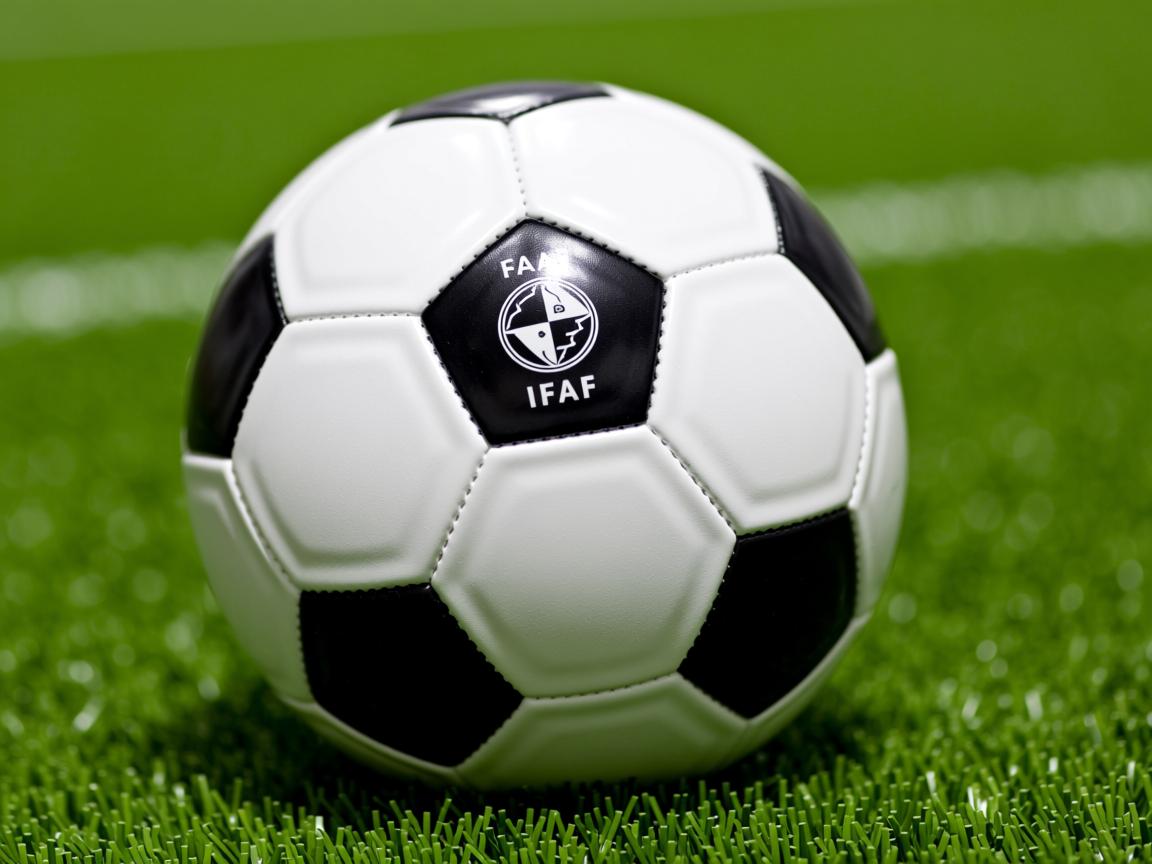 开云体育-冰雪运动普及率明显提升南方城市表现亮眼,冰雪运动的普及 第1张