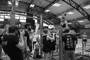 开云体育登录-“2025世界游泳锦标赛：水上芭蕾精彩纷呈，艺术之美与竞技并行”